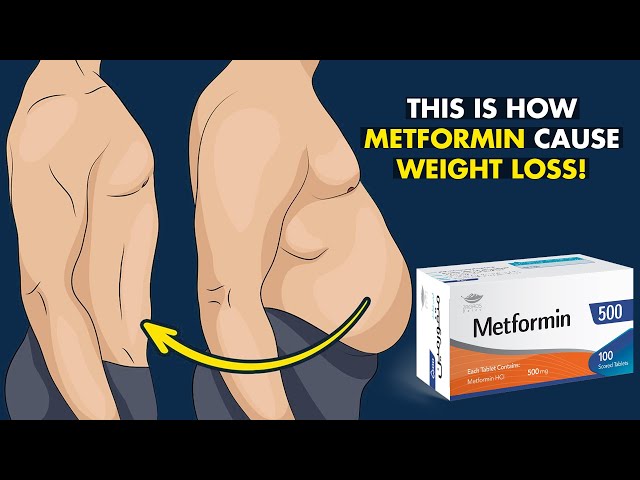 Can Metformin Cause Weight Loss? Insights on 4 to 6 lbs in 6 to 12 Months