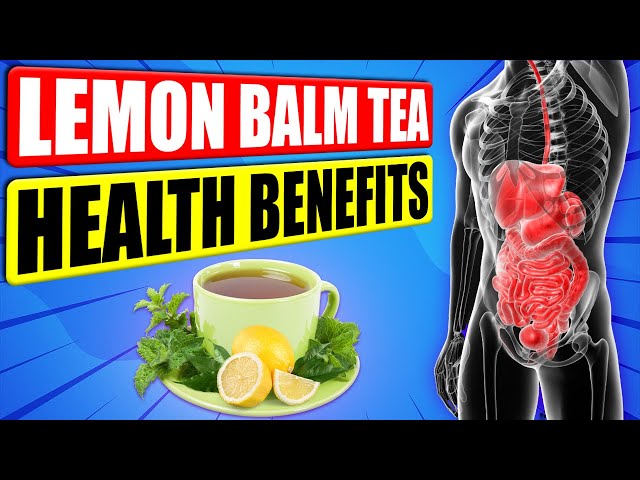 Lemon Balm Tea: Unlocking Its Soothing Secrets in 2024